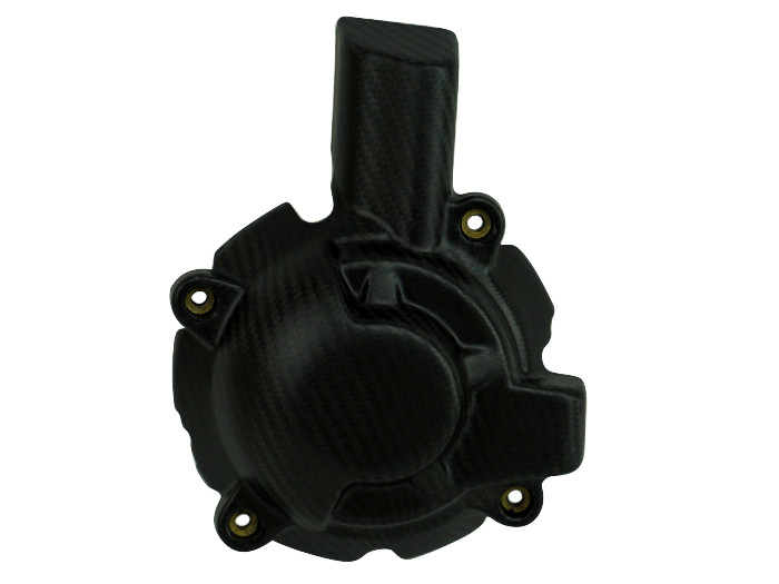 BMW S1000RR S1000R Carbon Fiber Alternator Cover
